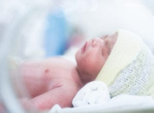 Regeringen vill inte ha en utredning av de sena aborterna